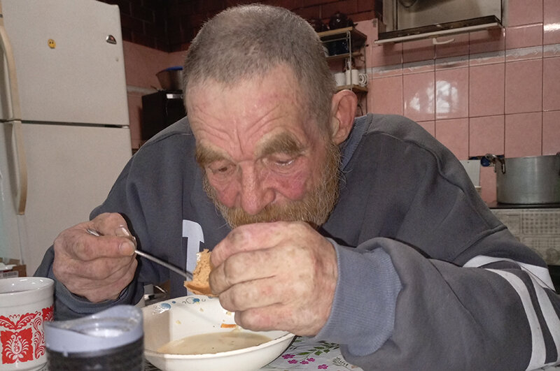    Фото: предоставлено приютом «Ной»