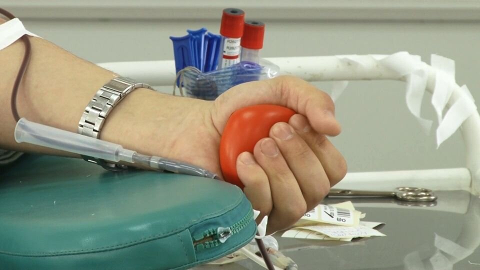    Донор. Кровь. Источник: Скриншот видео телеканала "Толк"