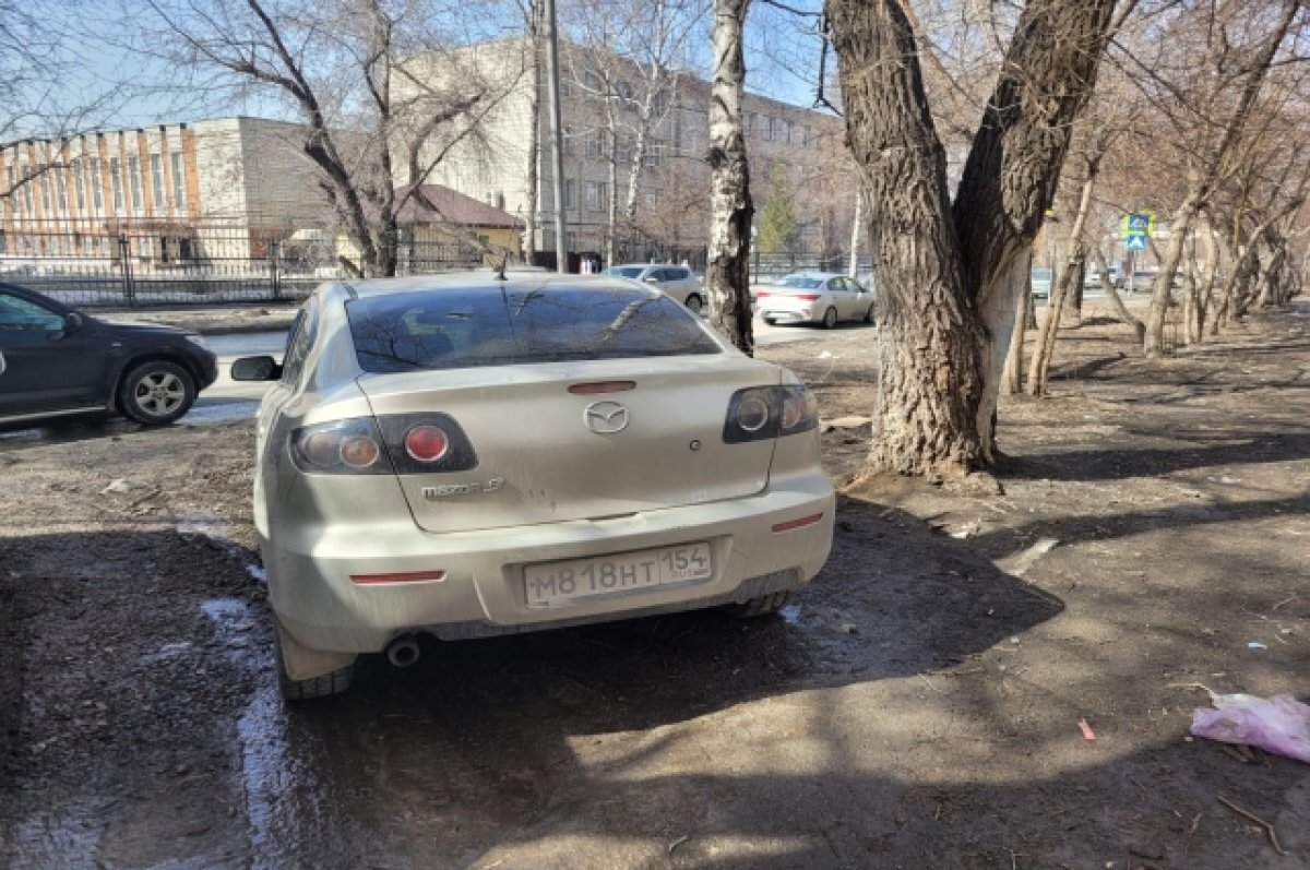    Новосибирский депутат Антонов предложил способ борьбы с автохамами