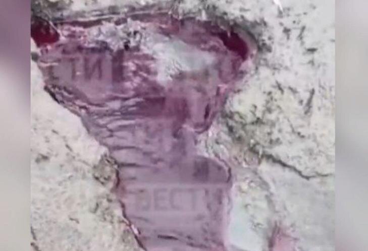   Скриншот видео Вести Новосибирск