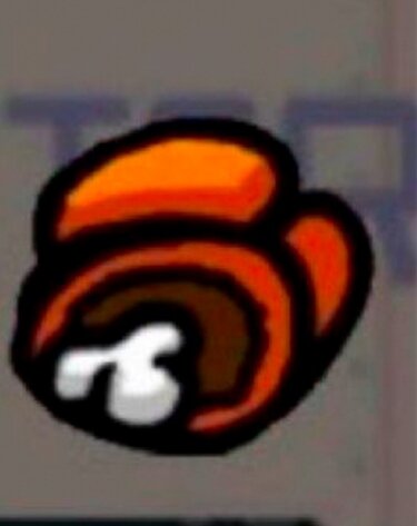 аэаэа как тИррорЕсты проникли в мой Мухосранск??