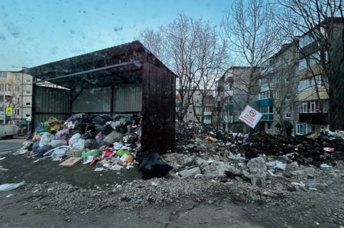 Жители столицы Камчатки пожаловались на мусорную свалку во дворе |  АиФ-Камчатка | Дзен