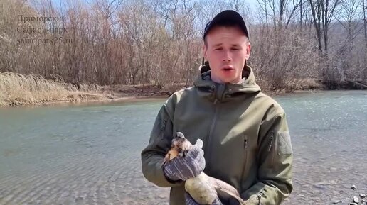 ВЫПУСК ТРЁХ ПТИЦ В ДИКУЮ ПРИРОДУ, ПРОШЕДШИХ РЕАБИЛИТАЦИЮ В ПРИМОРСКОМ САФАРИ-ПАРКЕ