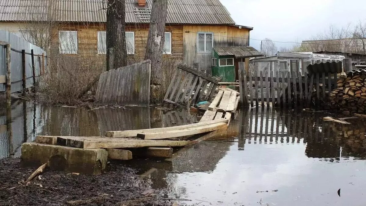     Источник: vc.kom/Ярослав Семенов