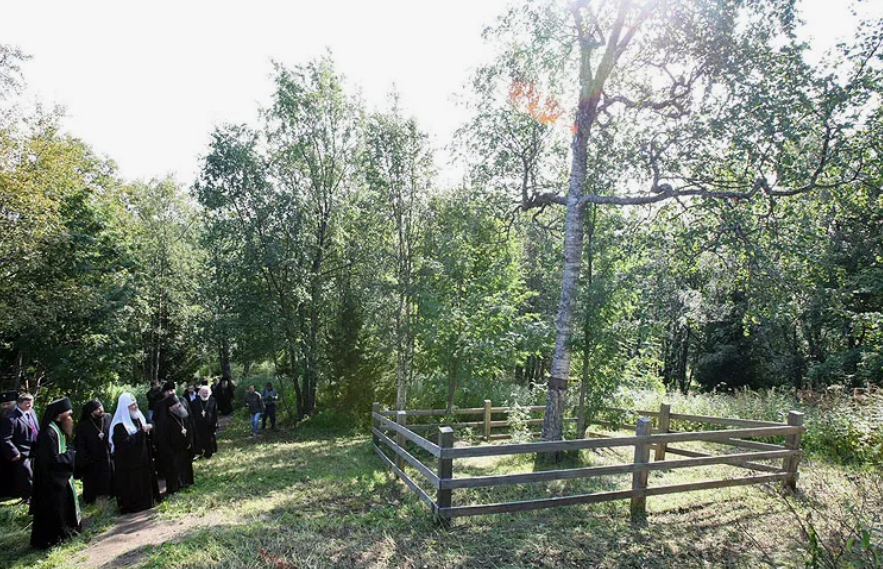 На Соловки, где даже березы - Крестом, где фото -  скрин