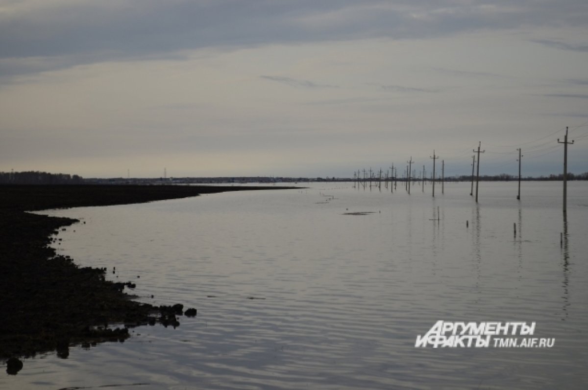 В Ишимском районе ограничили движение из-за перелива воды на дорогу |  АиФ–Тюмень | Дзен