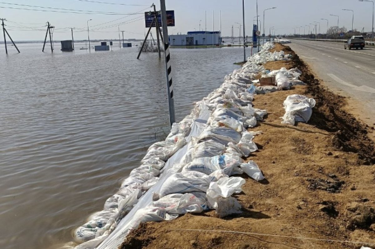    Под Курганом нарастят дамбу для защиты федеральной трассы от паводка