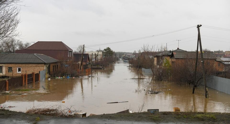    Sergey Nikiforov/news.ru / Global Look Press