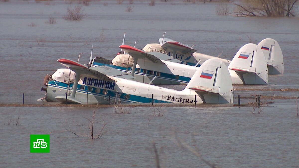 В России второй день подряд сокращается число подтопленных домов | НТВ:  лучшее | Дзен