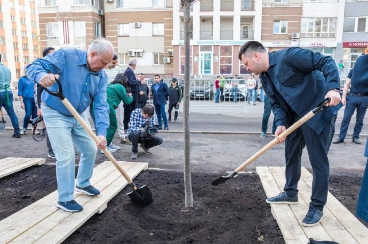   Толкачев и Мавлиев высадили крупномерные липы на Аллее Аксакова в Уфе