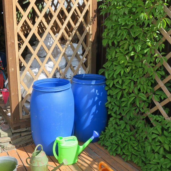 Бочки после покупки