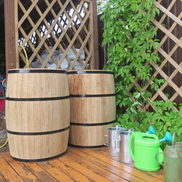 Бочки в кашпо