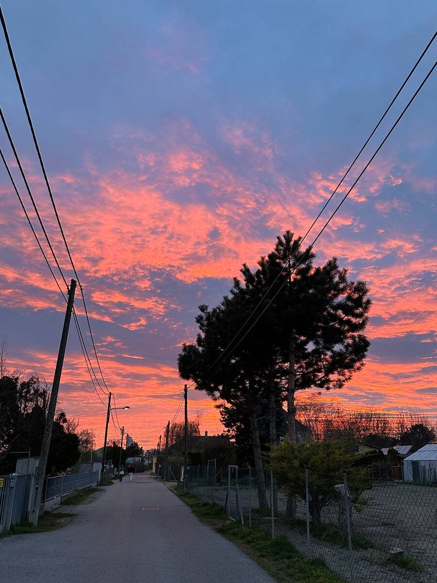 Закат в районе Donaustadt. Март 2024 года