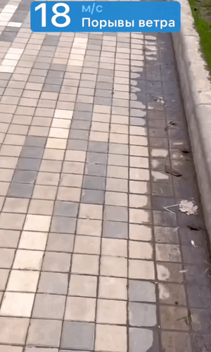 Фото: соцсети, aliana1001