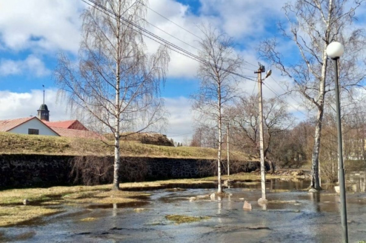    Улицы Приозерска и крепость «Корела» топит из-за сброса воды в Финляндии