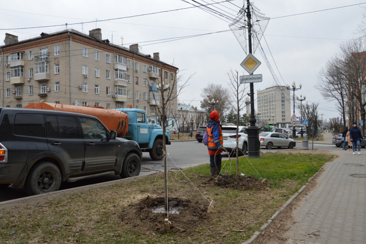    В Хабаровске высадят почти 1 тысячу деревьев до начала лета