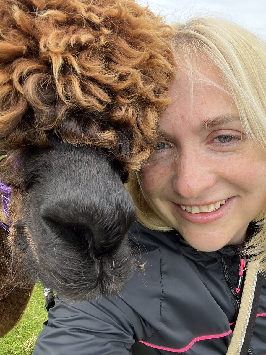 Wild Alpaca Way, Co Donegal