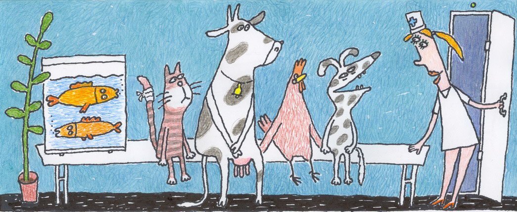 Жизнь ветеринара в картинках.