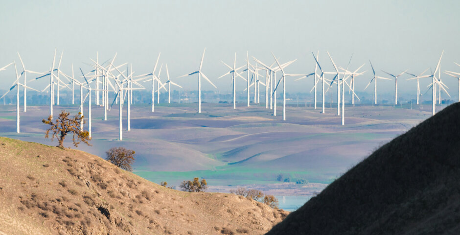    Фото: Chris Briggs/Unsplash