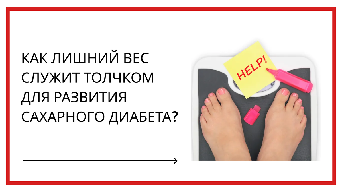 Что происходит в организме, который имеет избыточный вес? Сегодня я расскажу о механизме, ведущем к сахарному диабету.