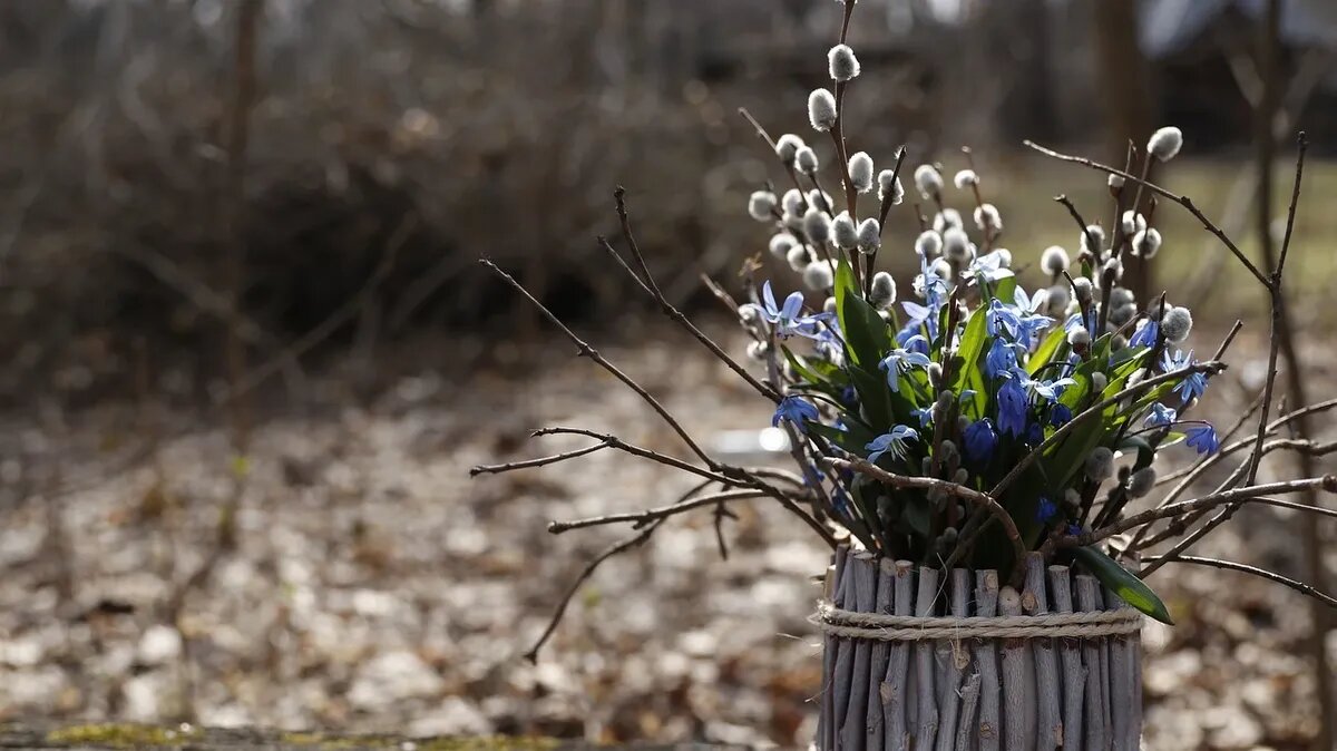 Фото: pixabay.com