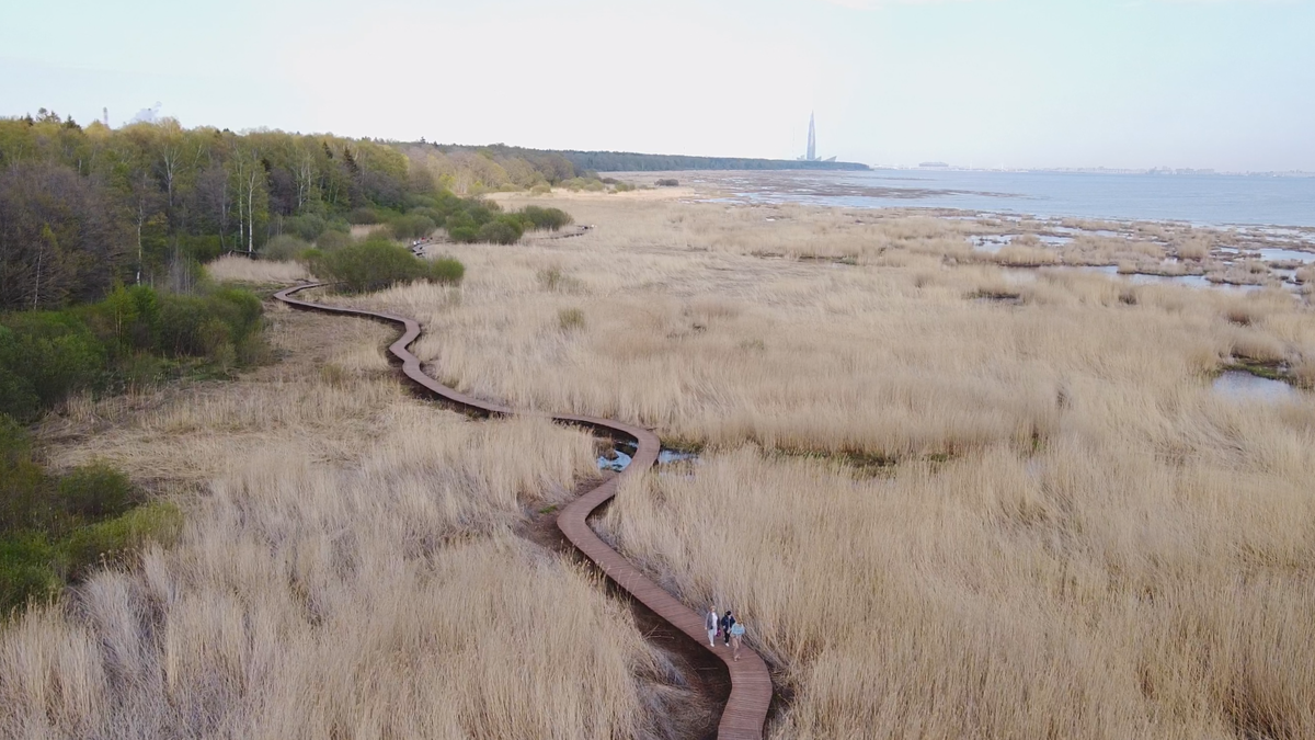 Эко-тропа у Лукоморья