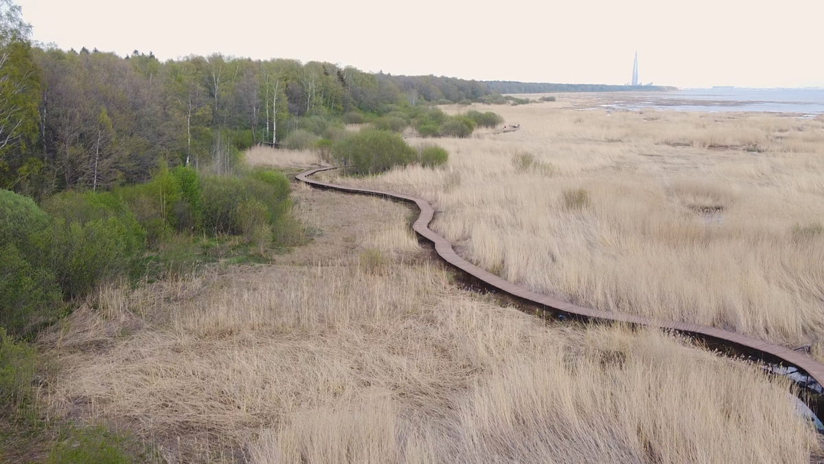 Эко-тропа у Лукоморья