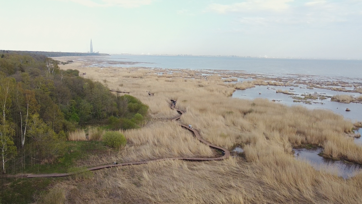 Эко-тропа у Лукоморья