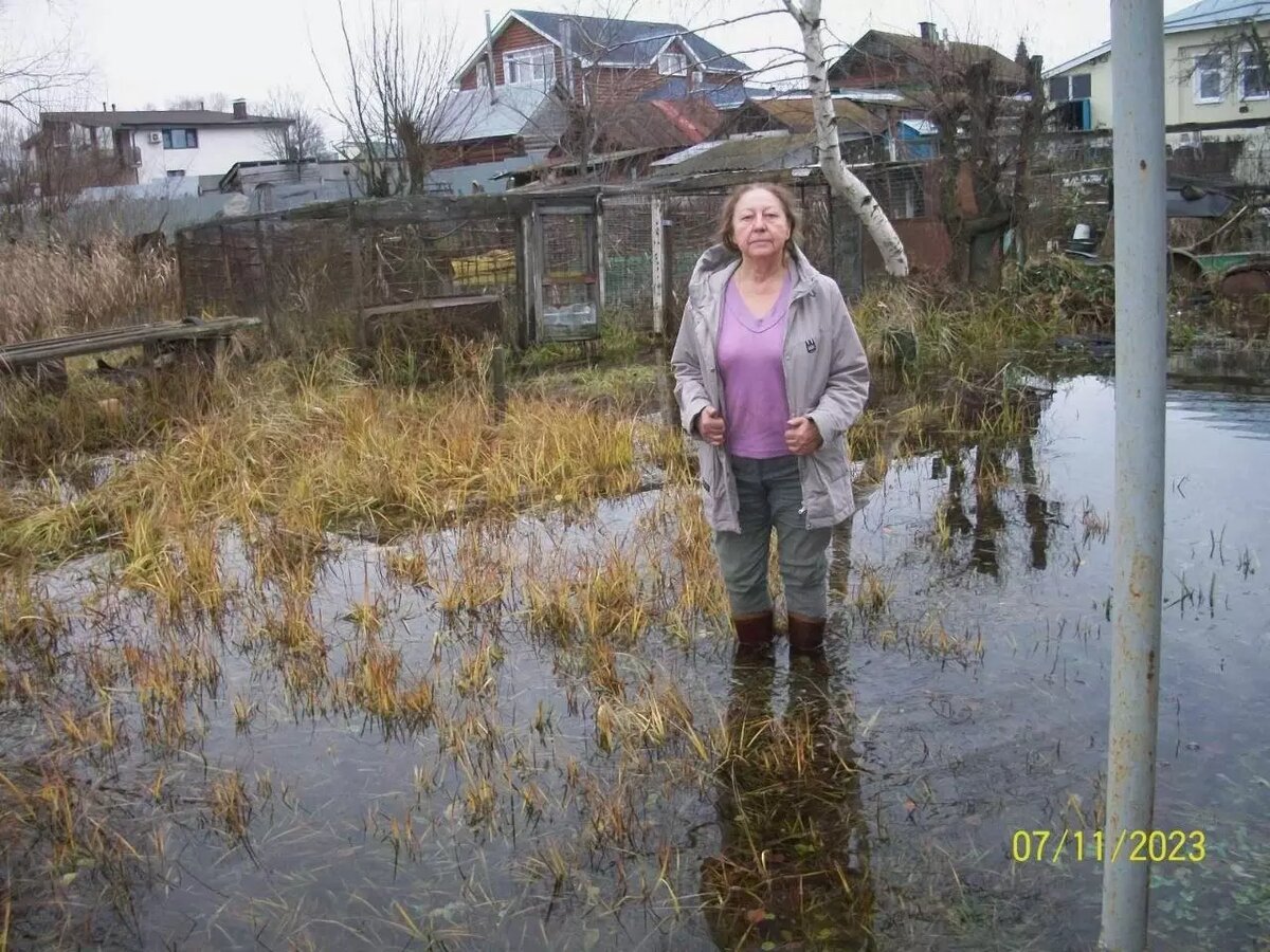     Источник: Елена Мельникова