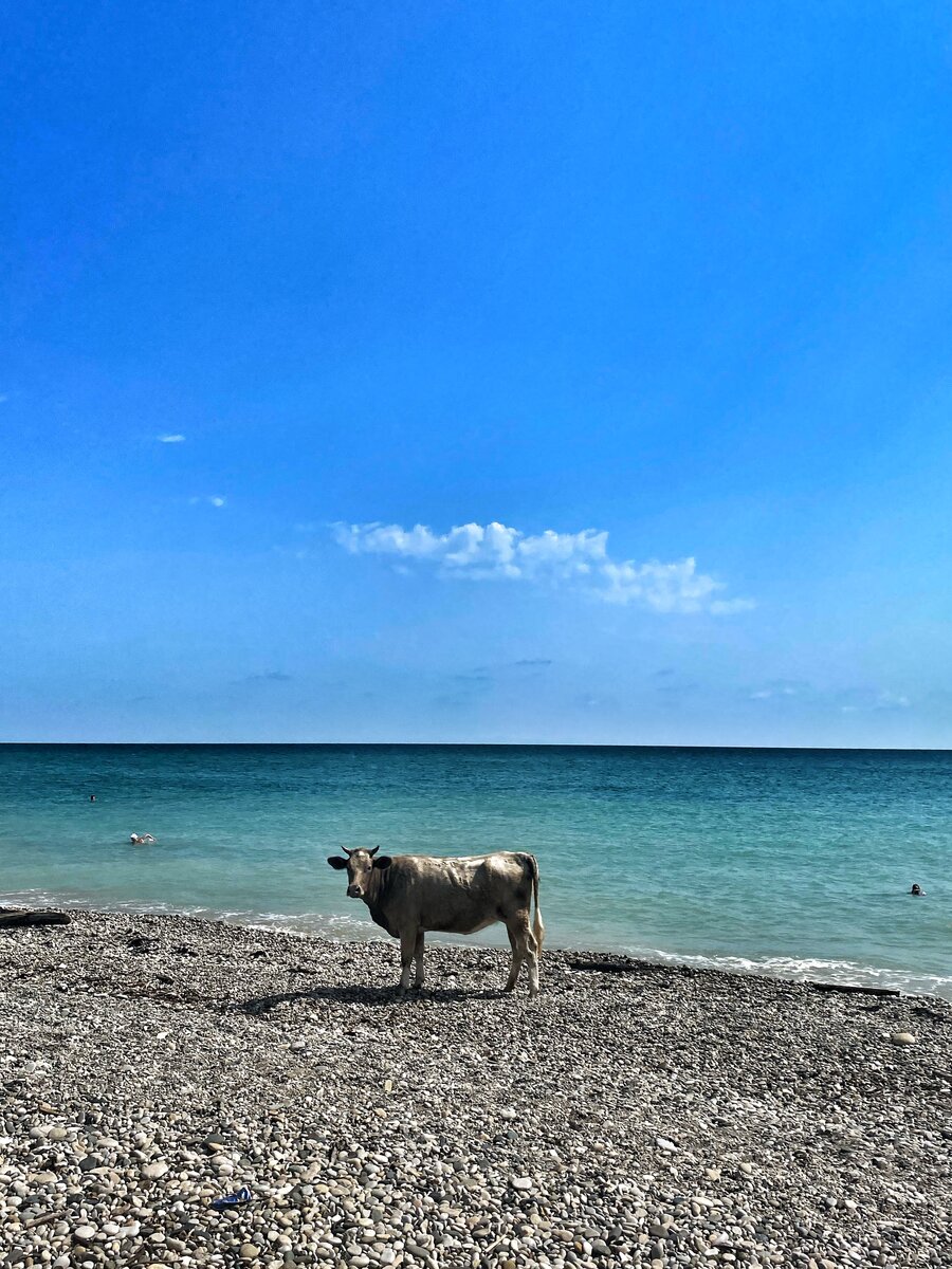 Куда поехать в отпуск: Море, солнце, пляж. Доступные курорты России для  вашего отпуска. | Аэрофоб-путешественник | Дзен