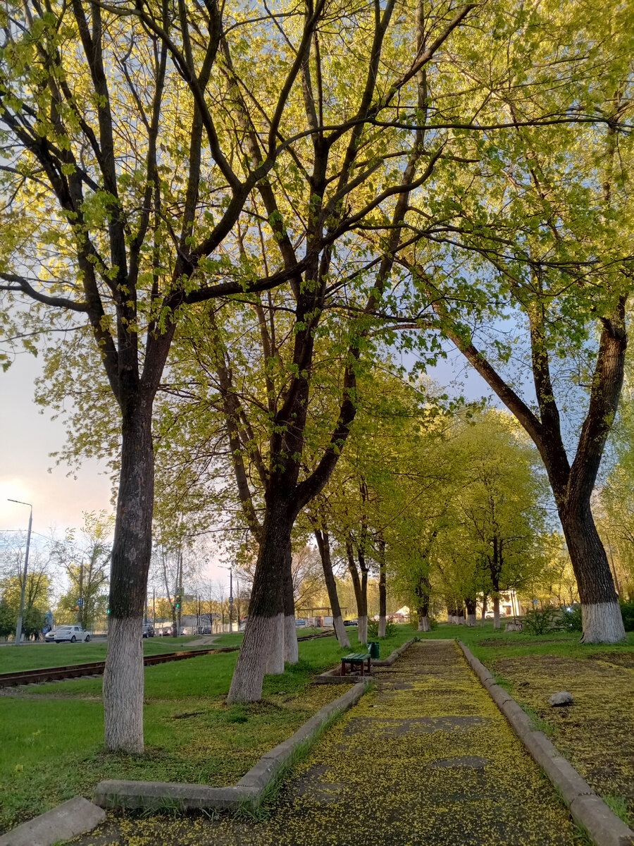 Рядом с площадкой,прекрасное место...