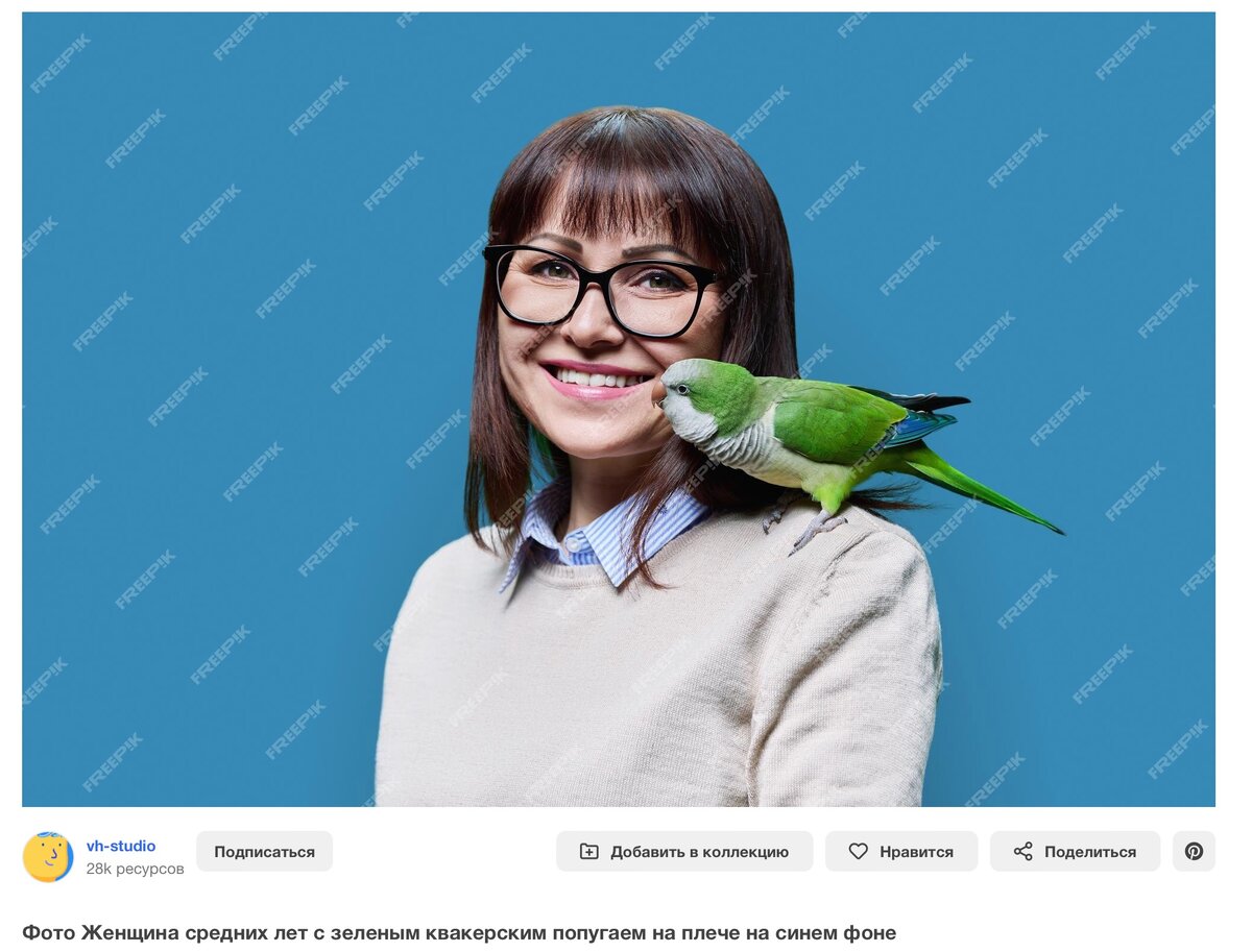 Случайное фото из бесплатного фотобанка, где хорошо виден типичный пример "нормального" не понимания. Попугай смотрит в рот человеку. Человек не понимает что это половое поведение попугая.