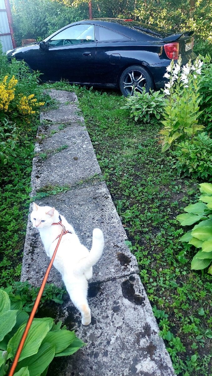 Левушка, фото из личного архива