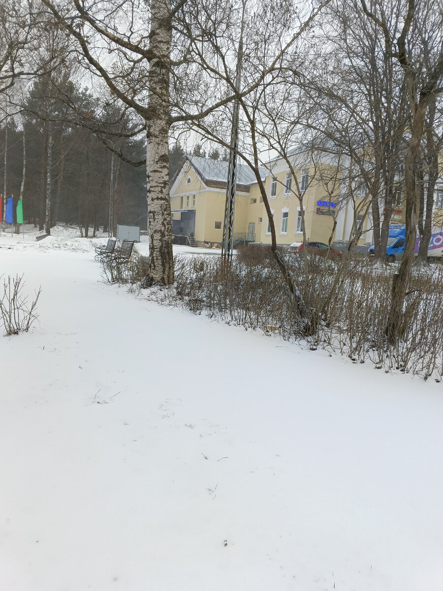 Карелию завалило снегом, вернулась зима. Дед Мороз 🎅 перепутал времена  года. Это летняя зима или зимнее лето | Блогерство на пенсии | Дзен