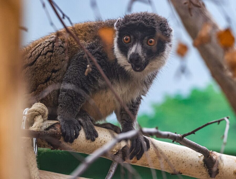    © dpa/picture-alliance/ТАСС