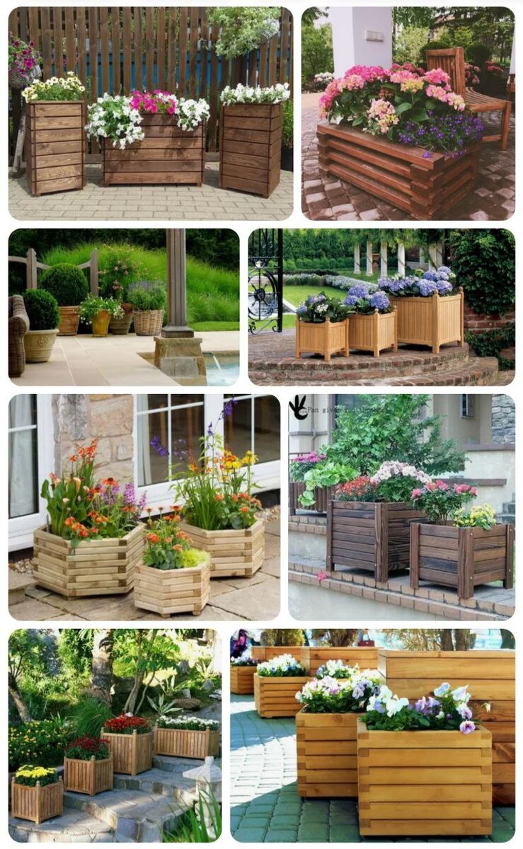 Фото из интернета. 