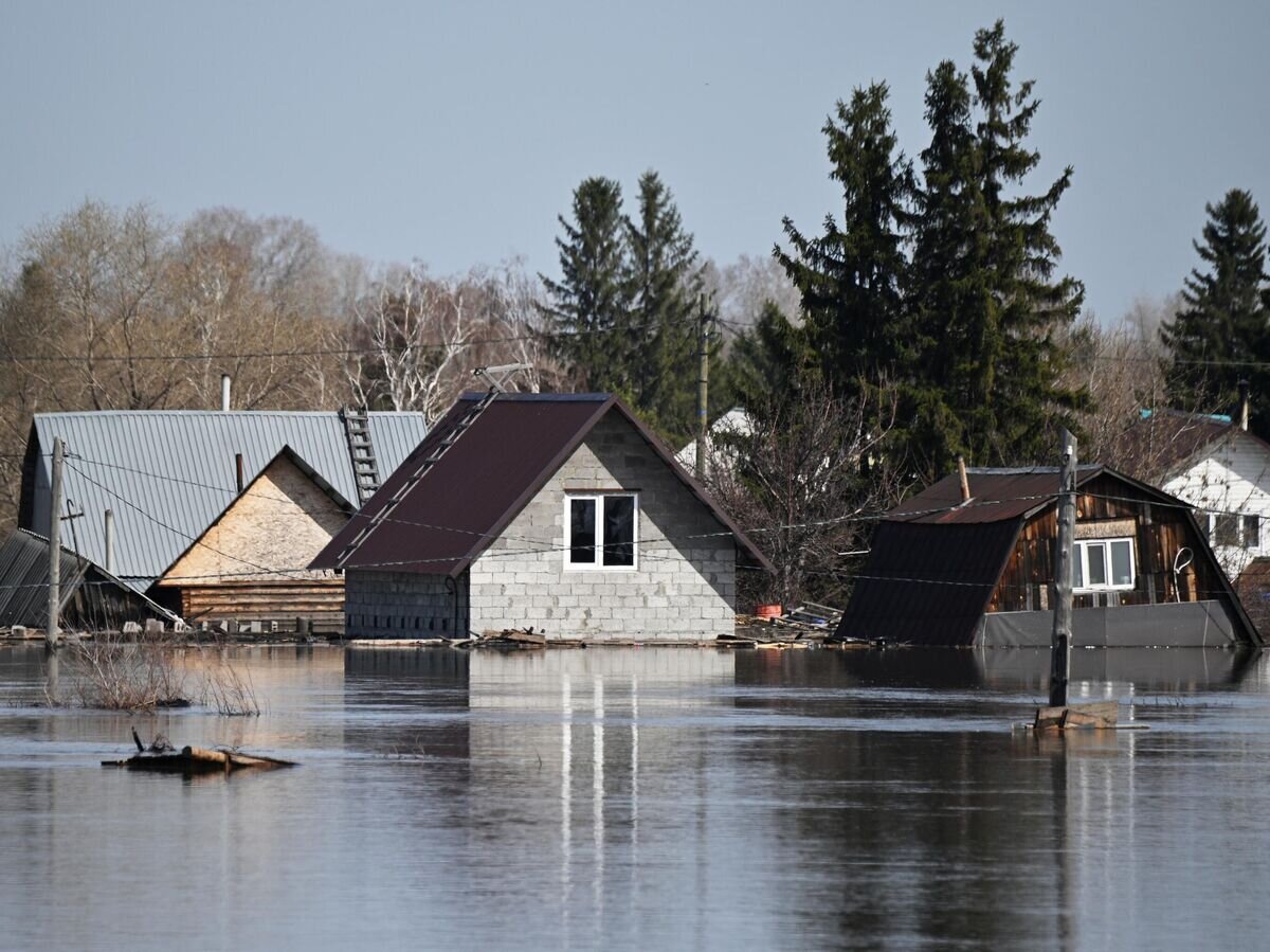    Затопленные дома в СНТ "Пищевик" в Кургане© РИА Новости / Кирилл Зыков