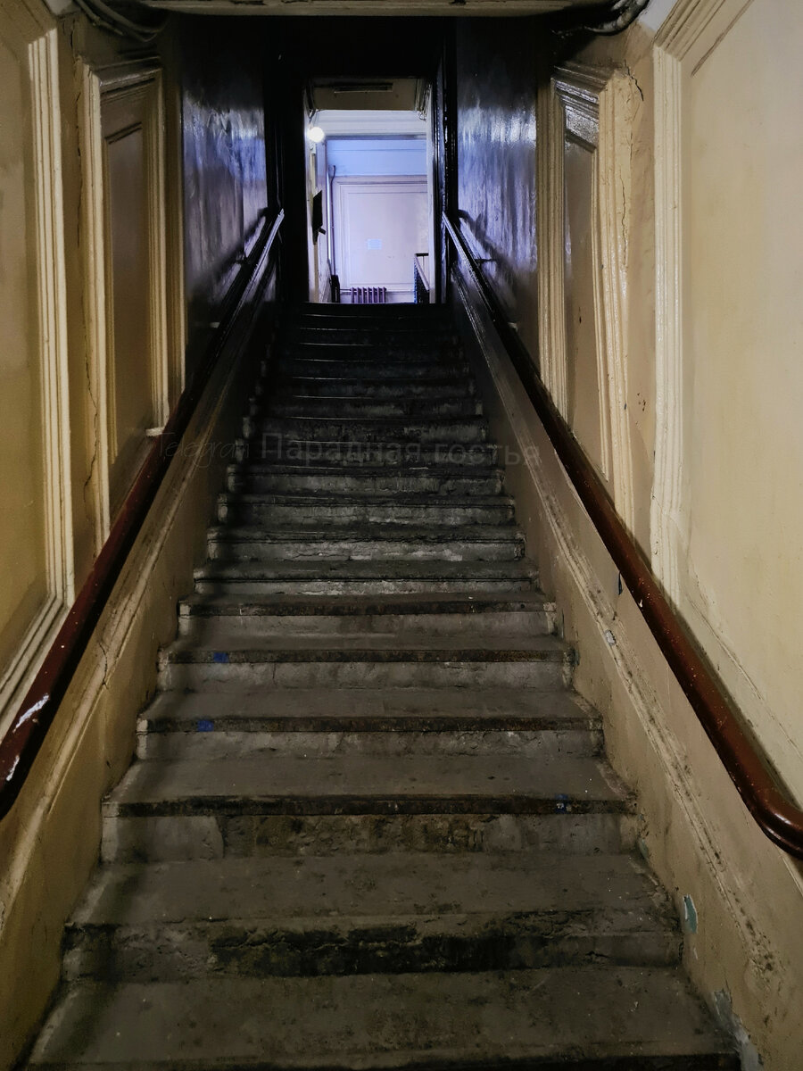 Фото: Парадная гостья