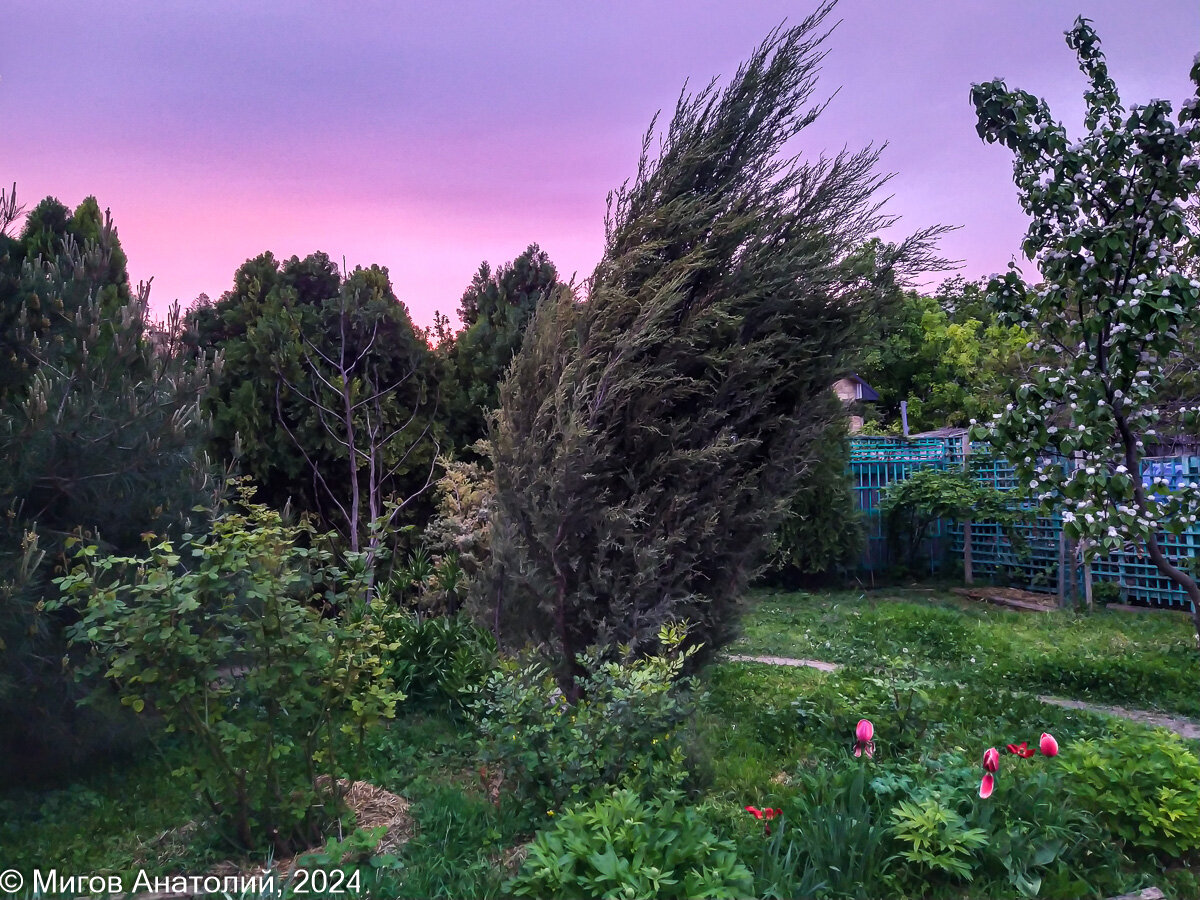 Вчера было лето, а сегодня пришлось включать отопление | Дневник ...