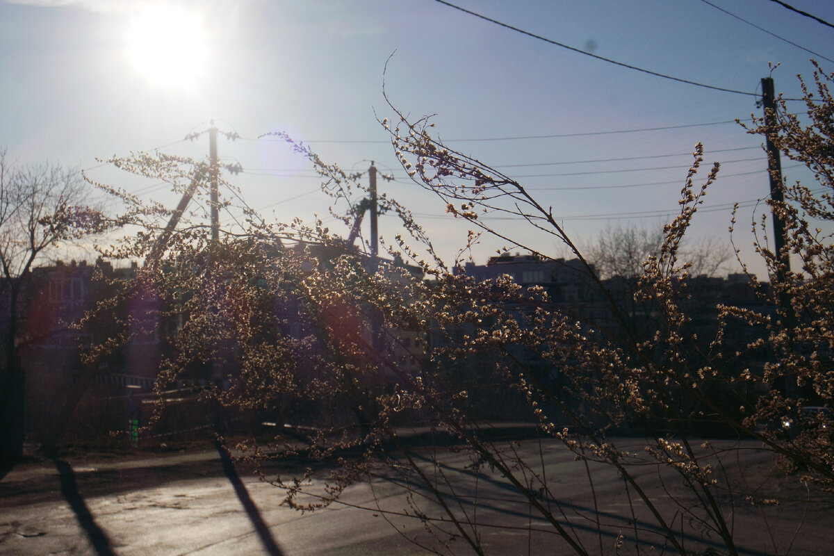 начало улицы на закате