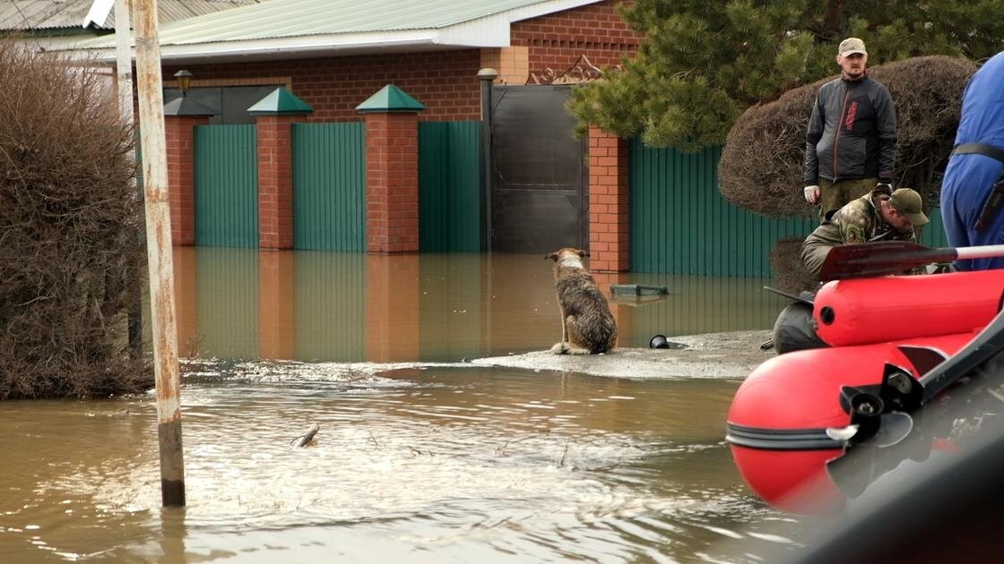 Улицу затопило водой