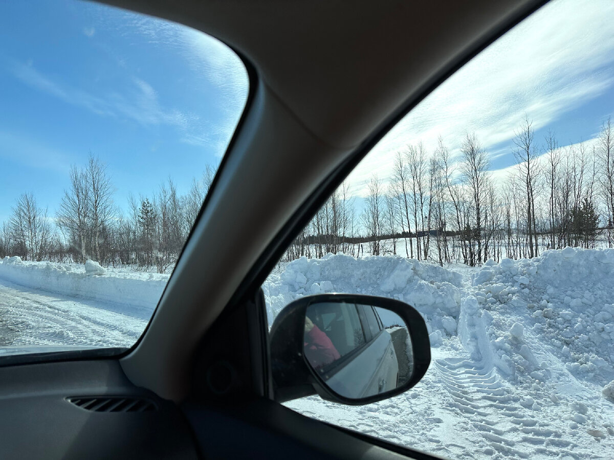 Поездка на рыбалку в апреле, вид за окном