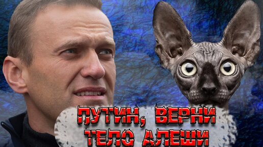 Путин, верни тело Алеши. Кот Костян