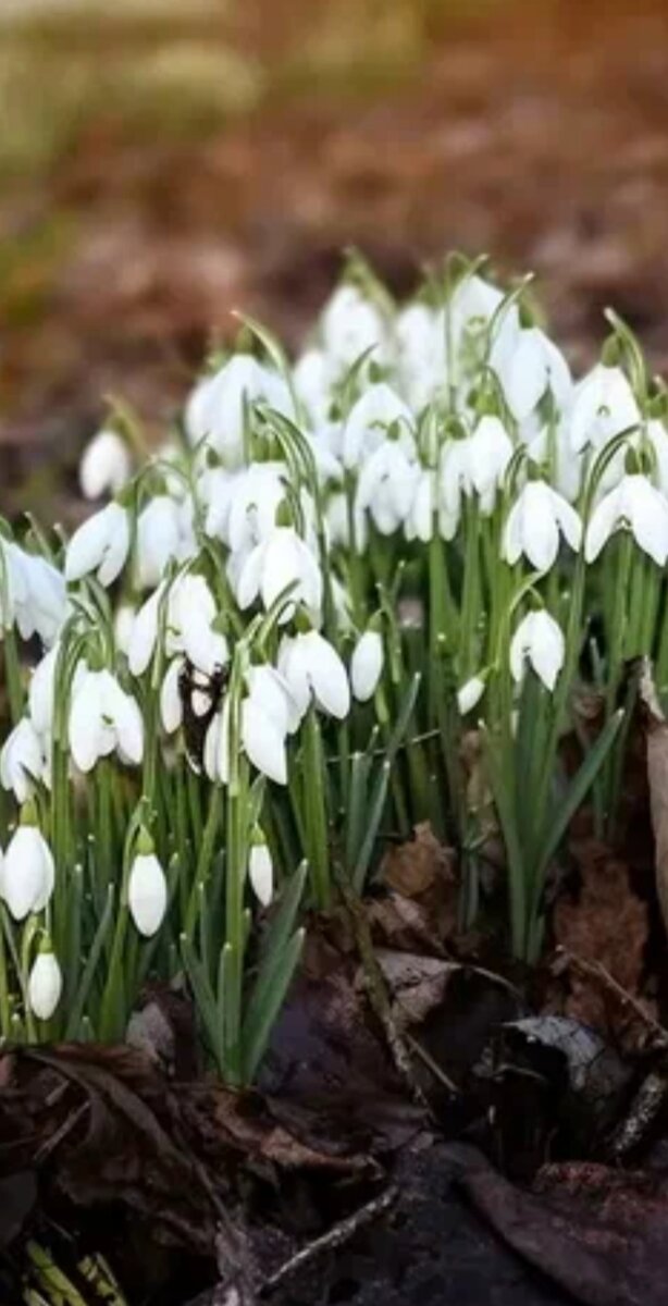 Красив суровый мир