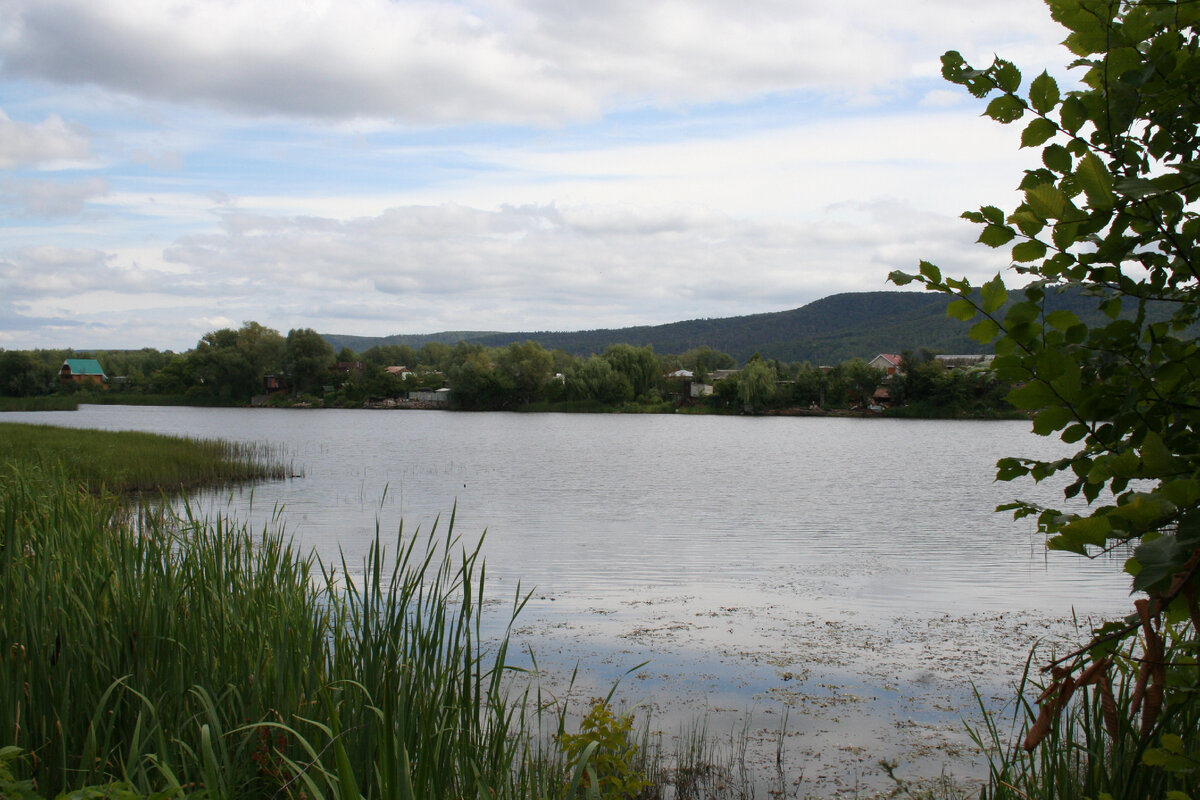 В нашем дачном озере живет огромный сом - наверное попал сюда 40 лет назад во время реального паводка