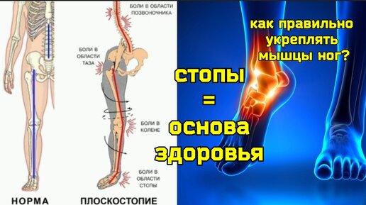 Страдают ноги, болят стопы и голени? 3 главные мышцы, 5 популярных ошибок