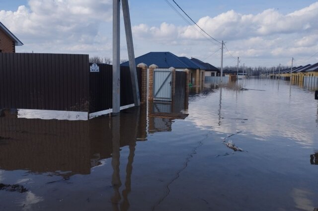    Фото: АиФ в Оренбурге