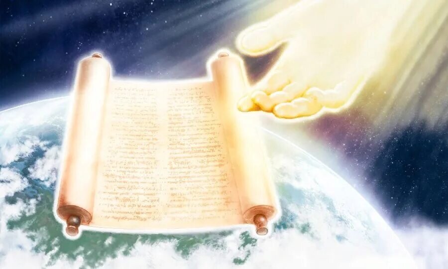 Фото с сети. 