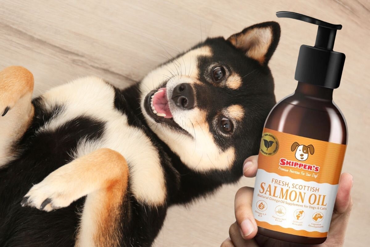 Масло лосося для собак