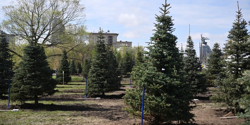    Фото: выставка-форум "Россия".